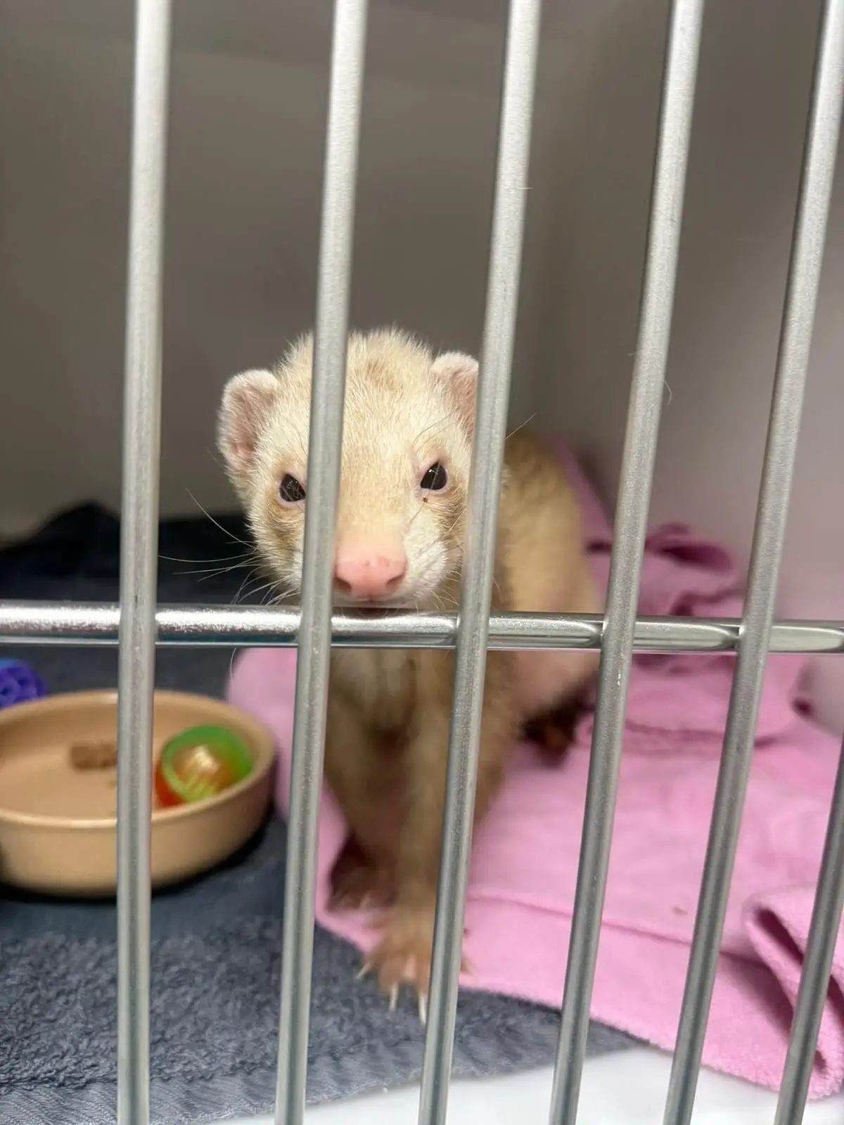 imgi_15_534392322_18151890841380256_3313347775054144731_n