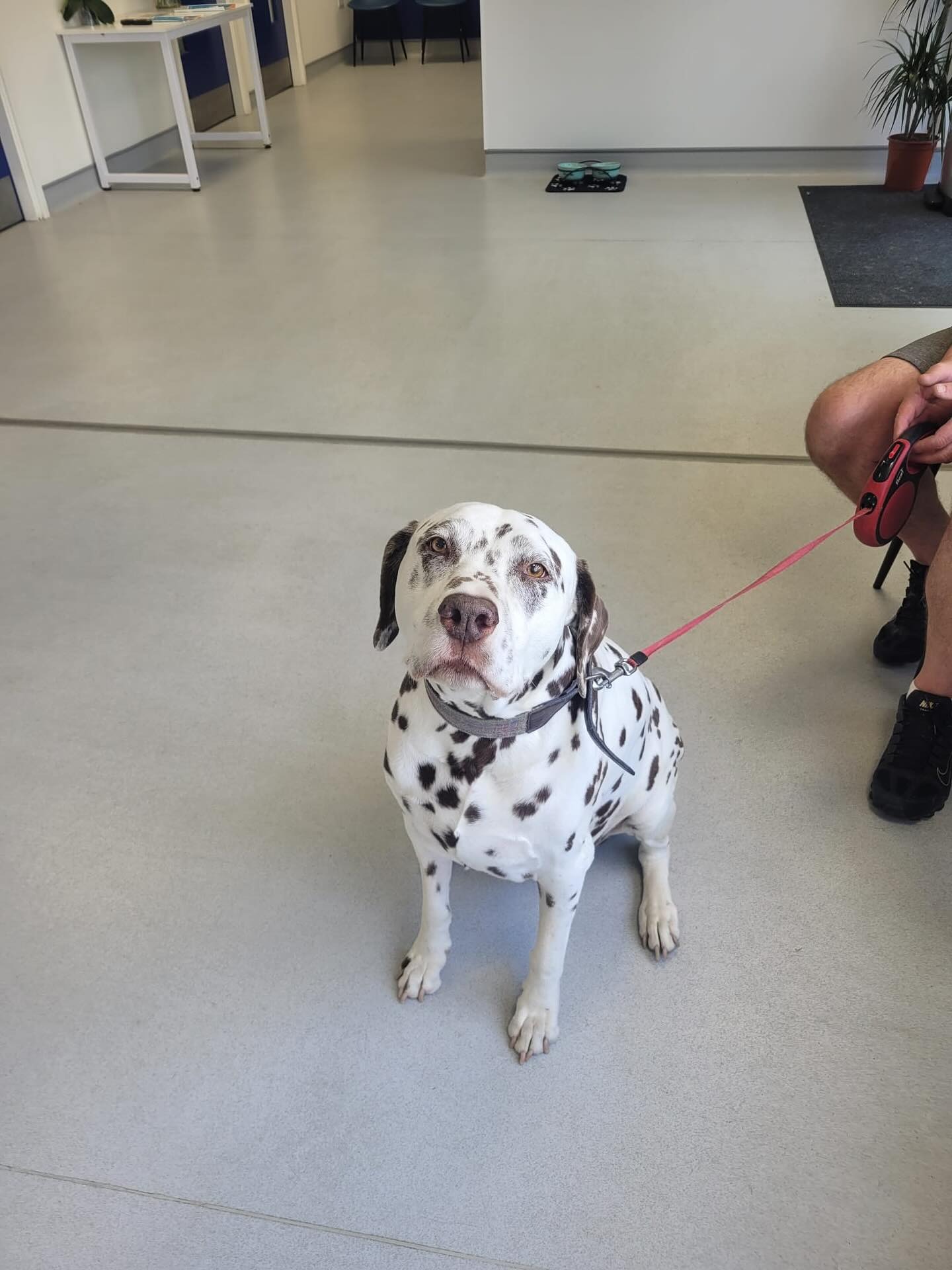 imgi_17_529869538_18151202596380256_2152152513463075895_n