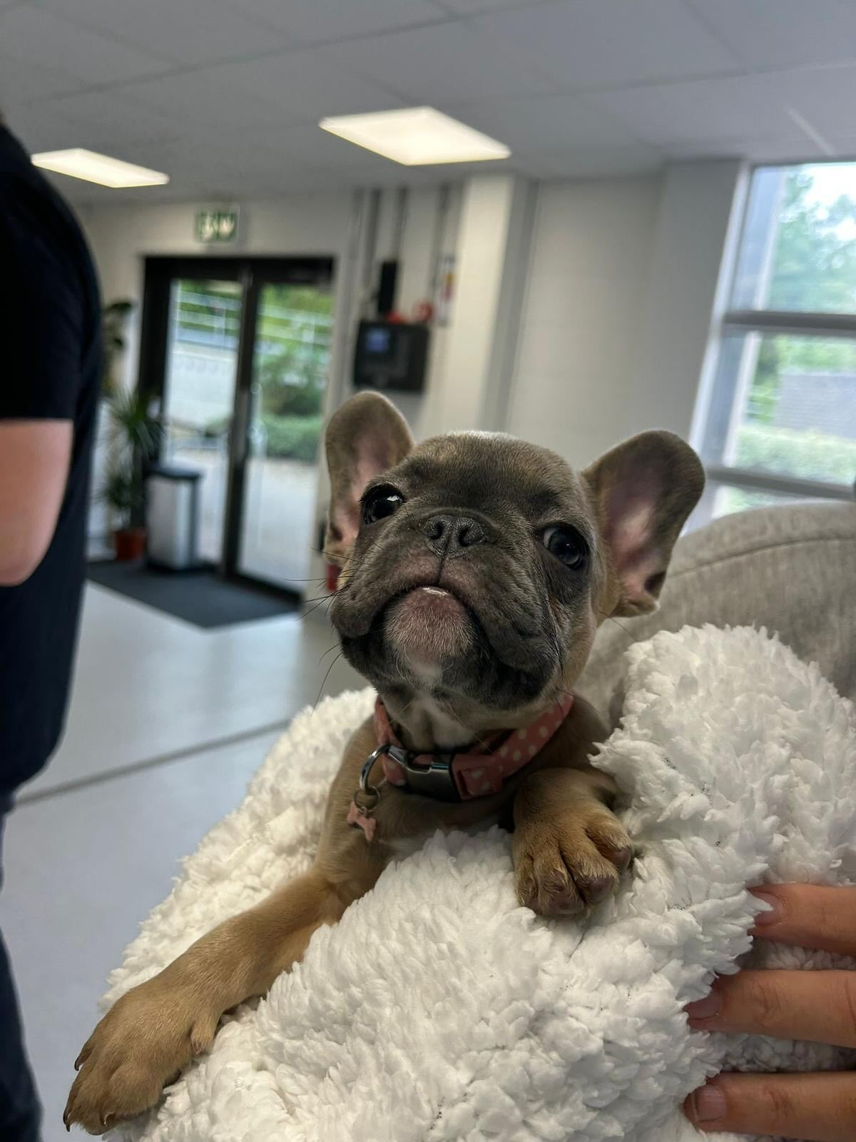 imgi_19_526668118_18150546166380256_3338442546008522614_n