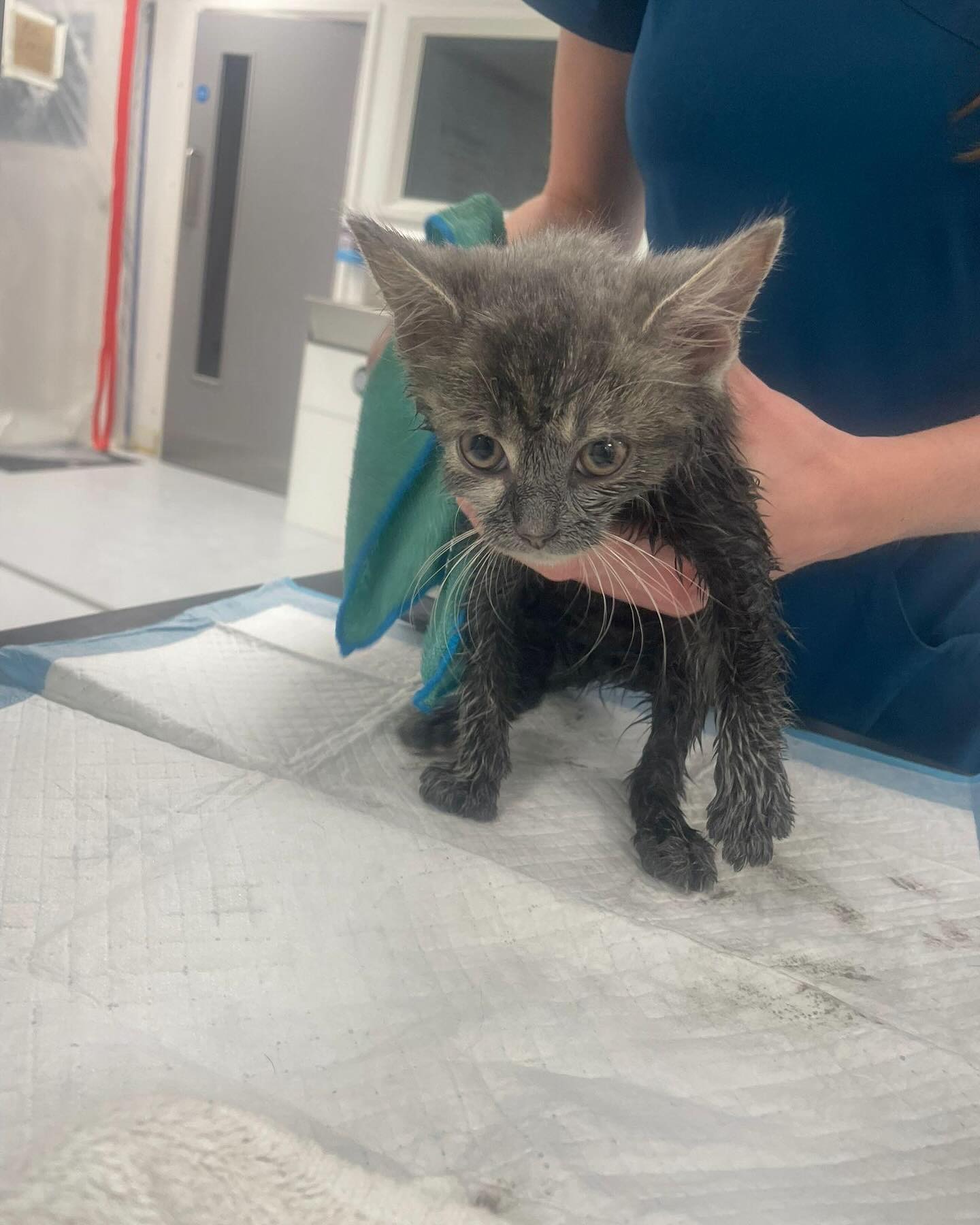 imgi_24_500421804_18143877376380256_1813606441328529984_n