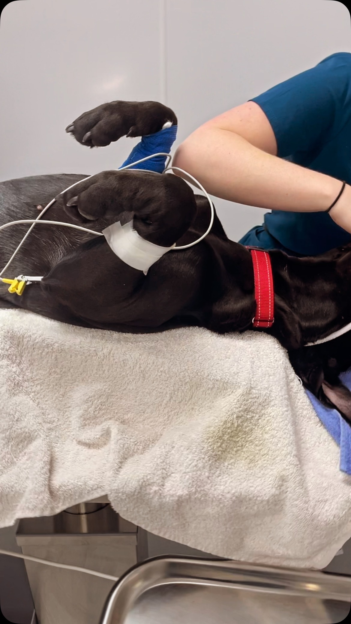 imgi_32_491444224_18140412592380256_5682677920249802047_n