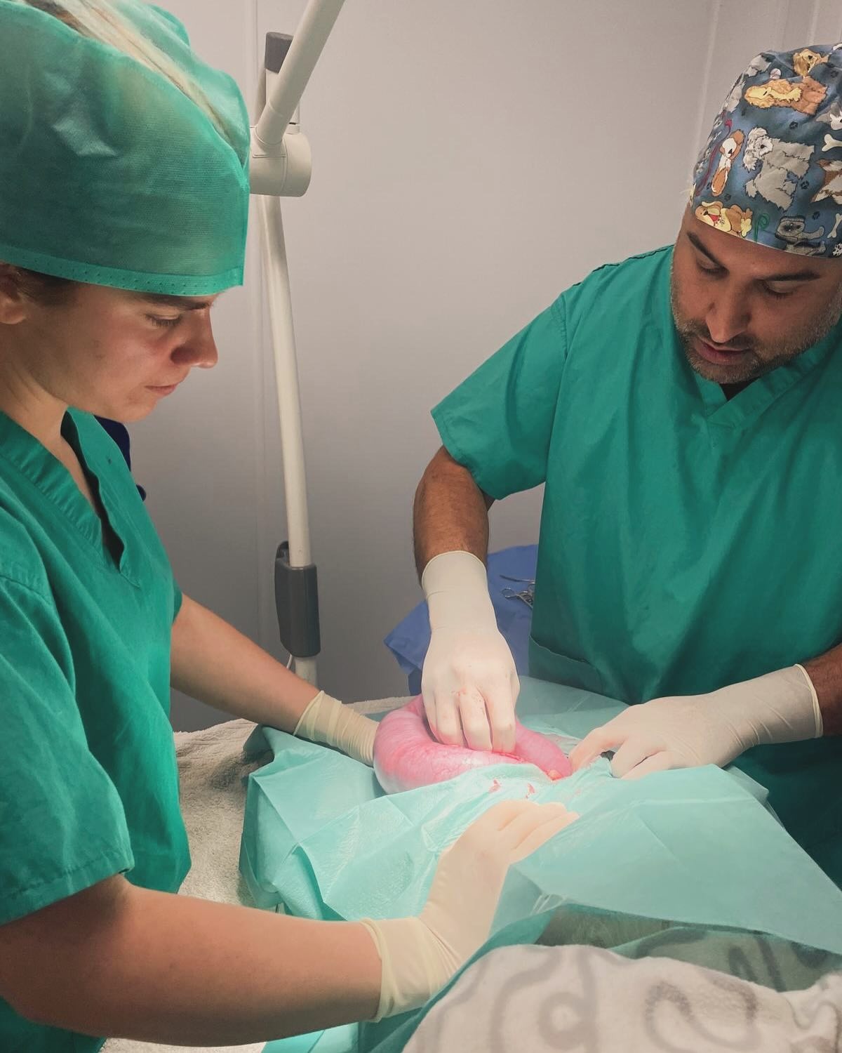 imgi_35_488015649_18139224697380256_2423123460050988649_n