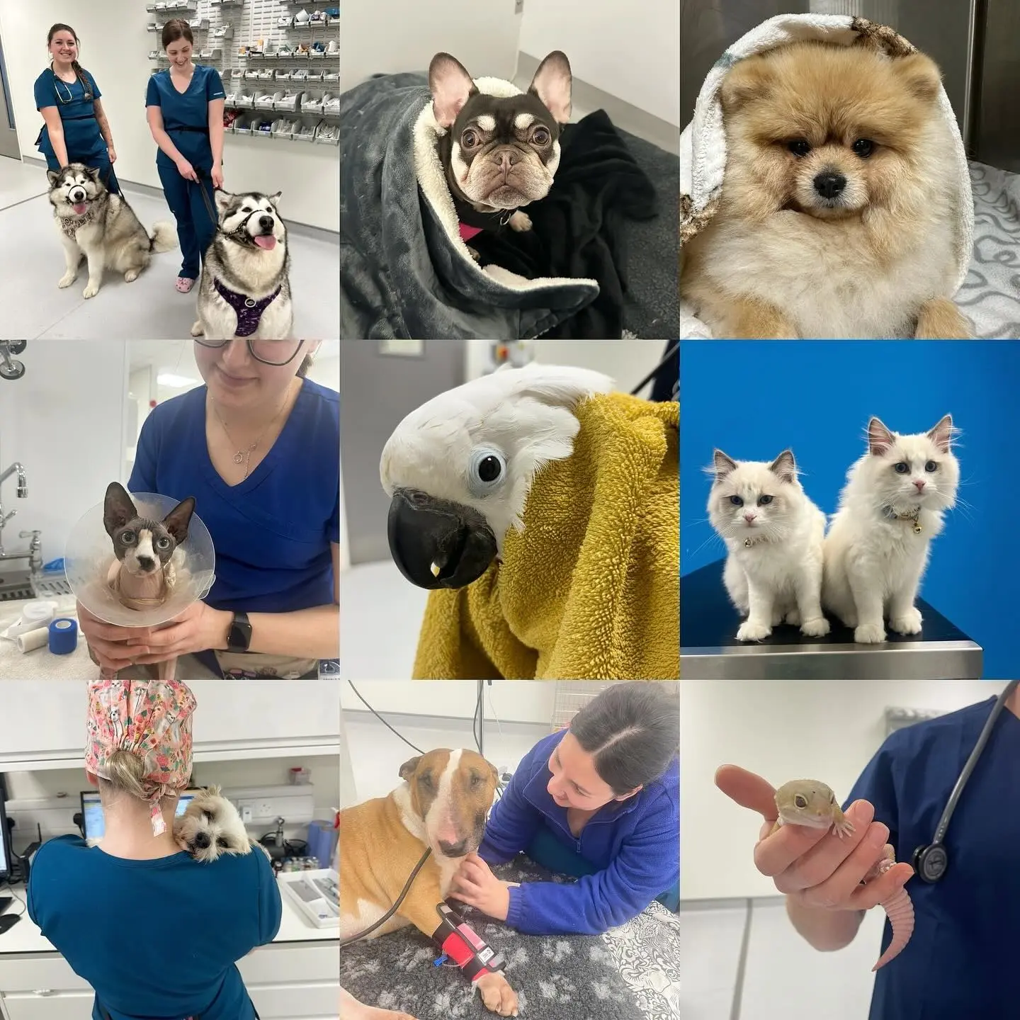 imgi_39_480107983_18134873386380256_850198344900128346_n