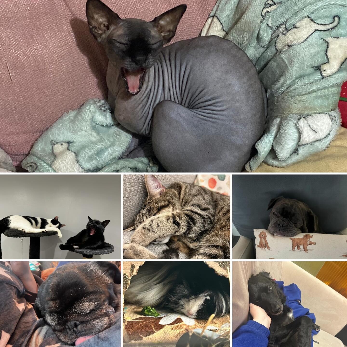 imgi_41_472631557_18131472607380256_4155109757524972939_n