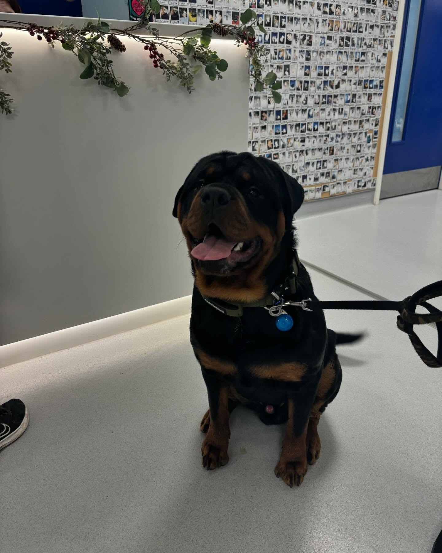 imgi_43_470269095_18128467765380256_6329890079781230320_n