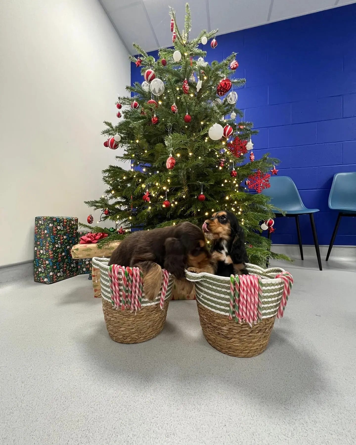 imgi_45_469914958_18128331043380256_576806564257735745_n