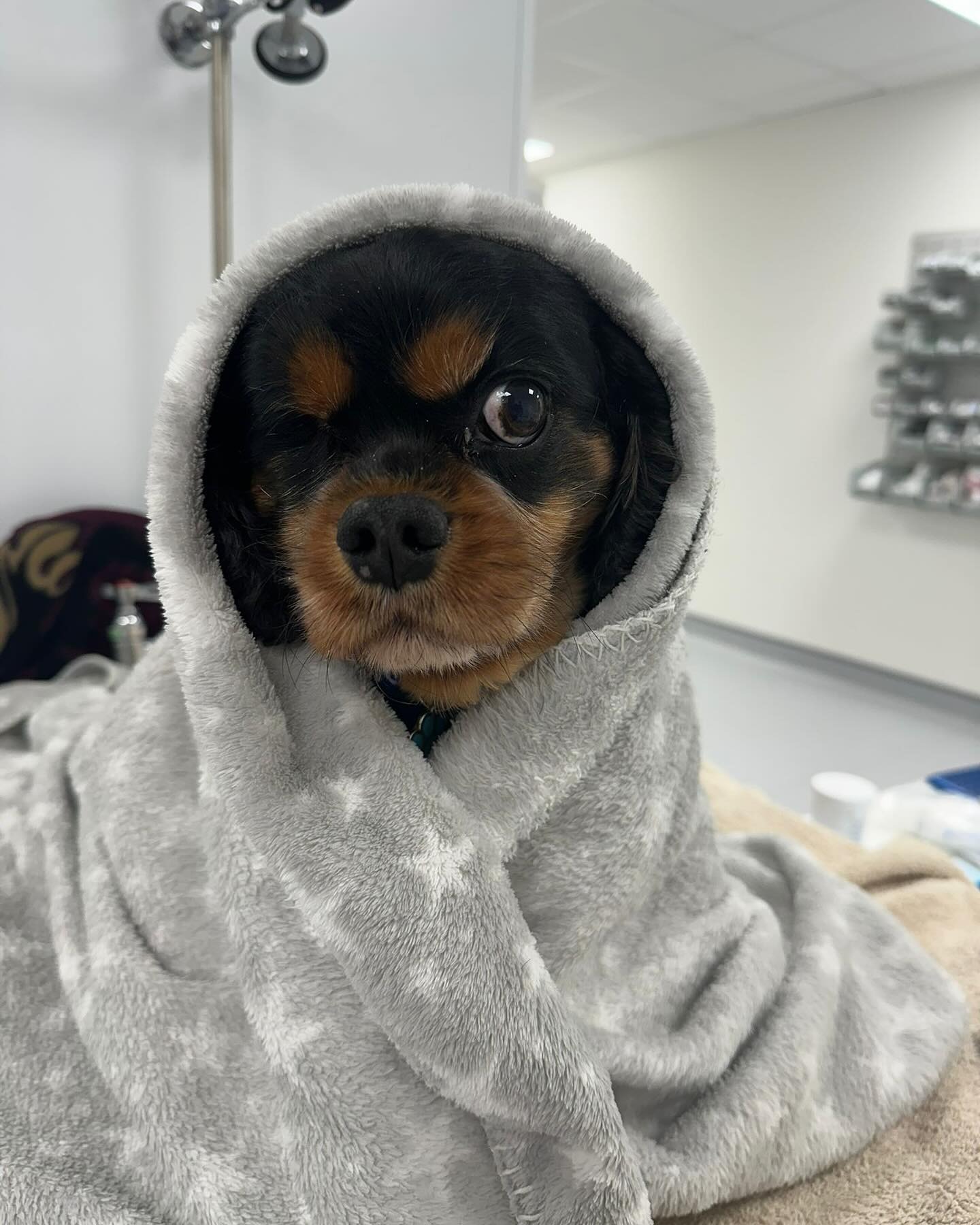 imgi_49_466929837_18125665306380256_8496849040021985441_n