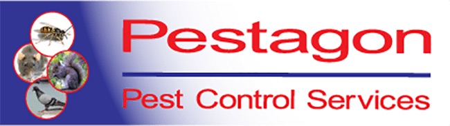 Pestagon logo