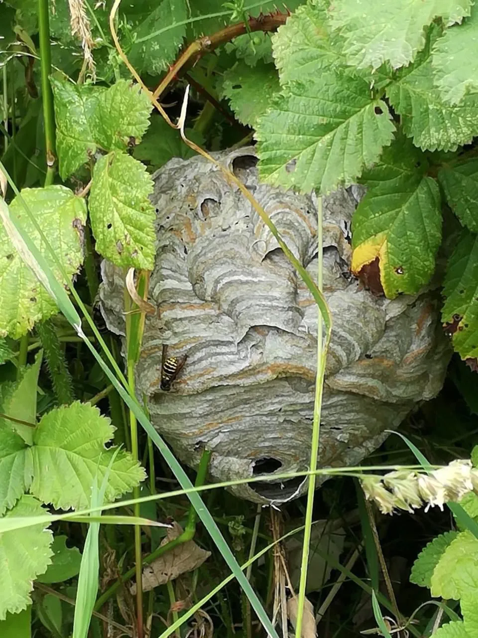 d4b67319-e72c-4f06-a79b-11188f2ec6c9