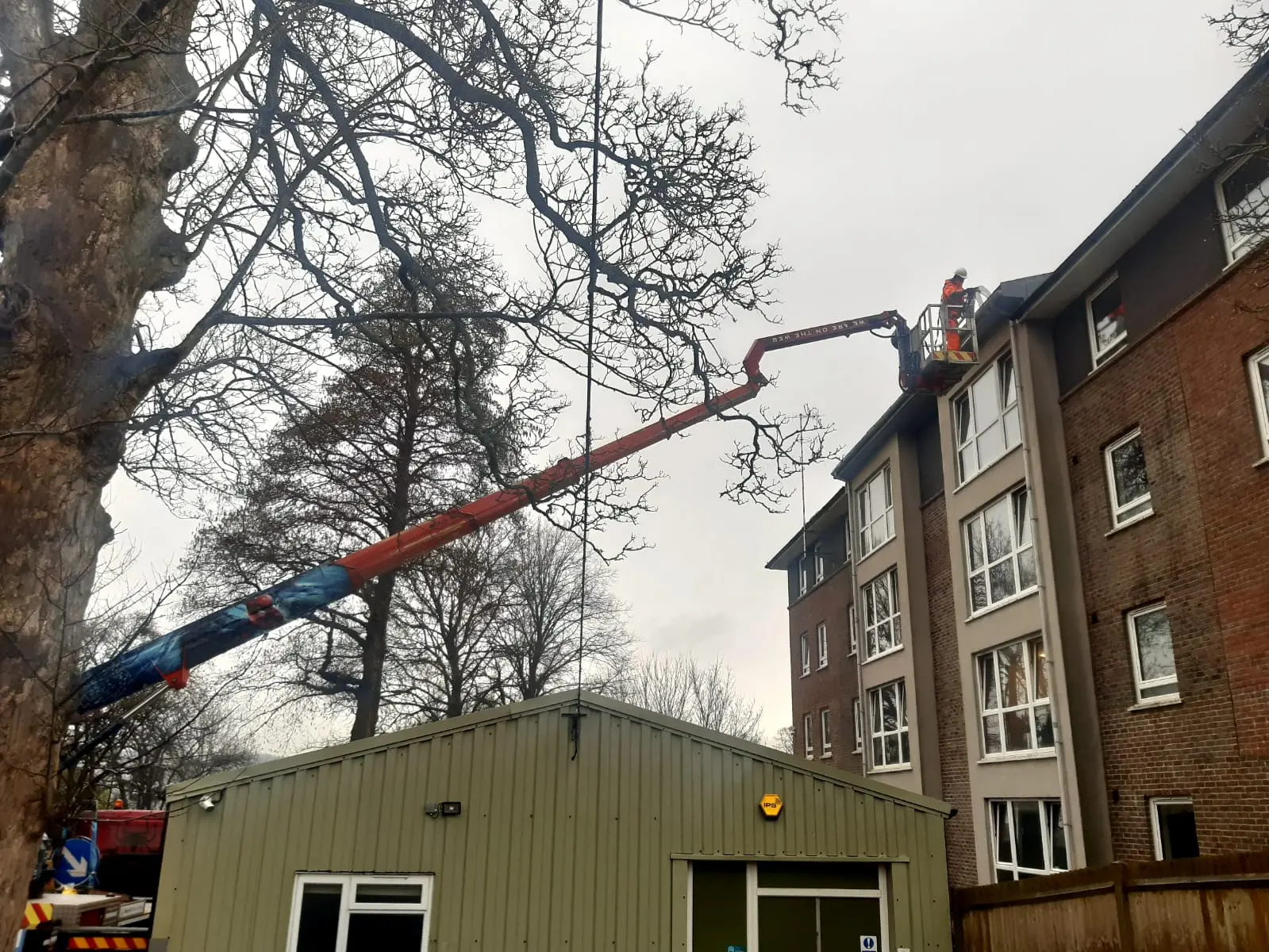 cherry-pickers-for-hire