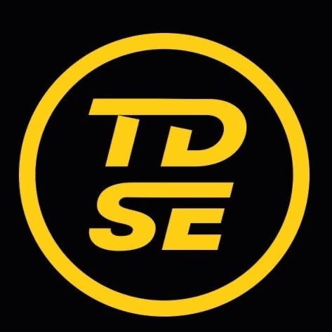 TDSE Services Ltd logo