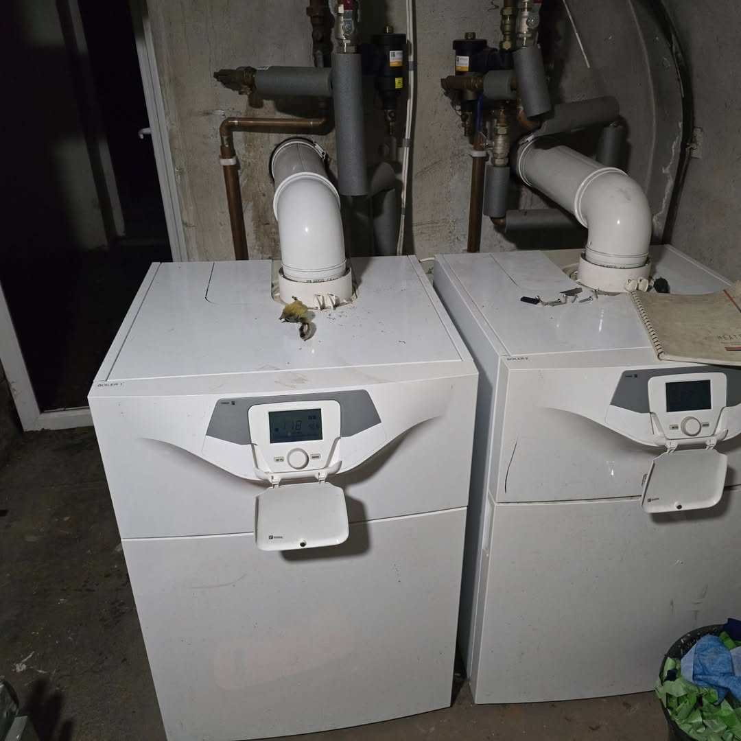 bd7ed173-b7a0-4c83-bccc-06fa37e22586