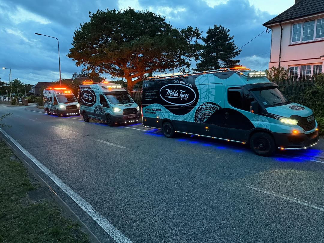 phosphor.utils.elfsightcdn