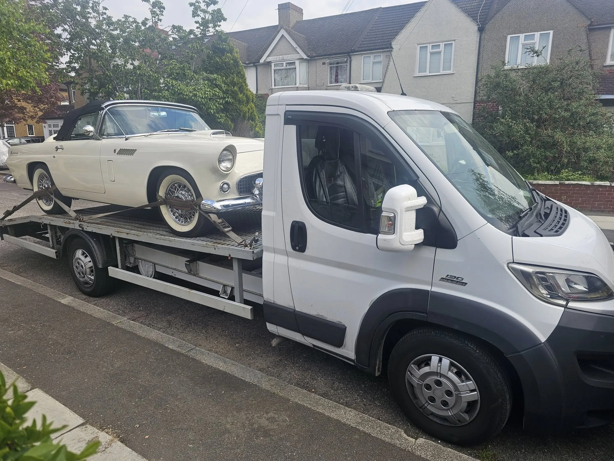 01KK1KVXE3CY56HZC50GHVJNKT