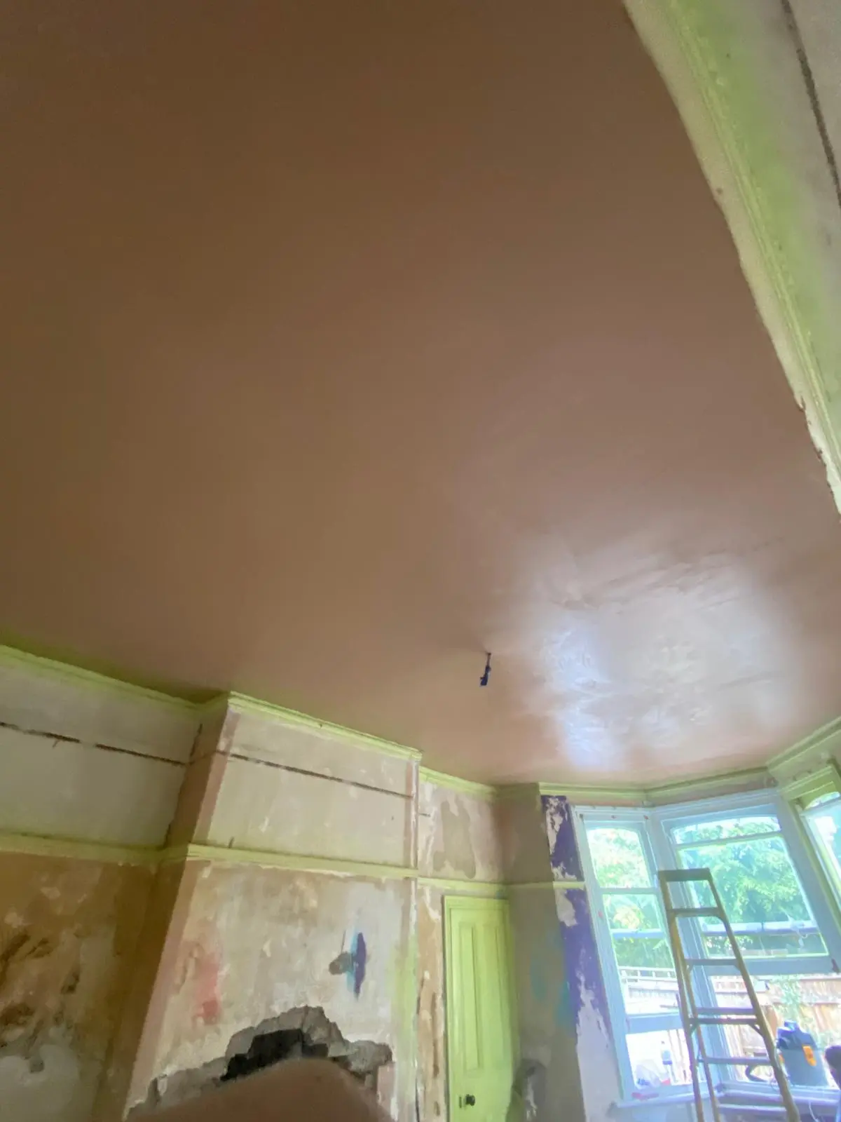 WhatsApp Image 2025-12-16 at 15.49.11