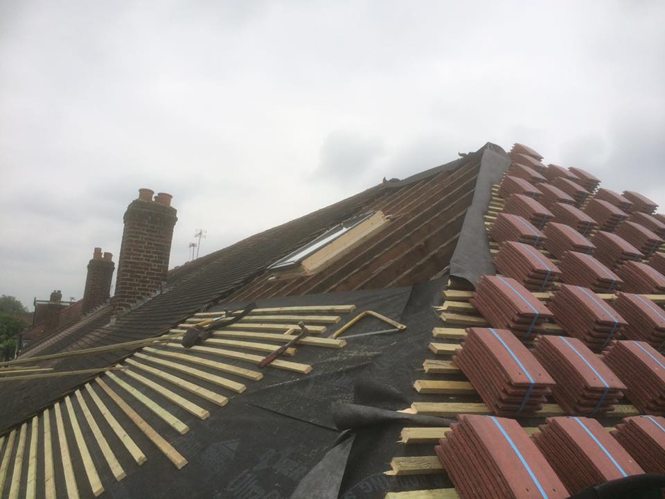 13445570_1022603257831987_4769376367514810176_n