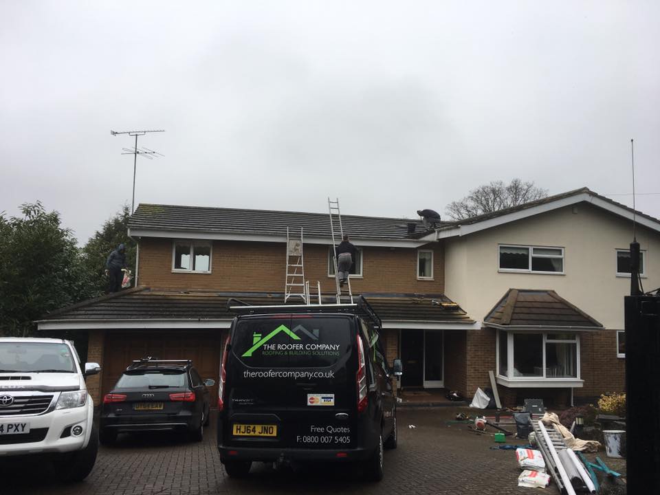 16298454_1230811683677809_6278230230556279057_n