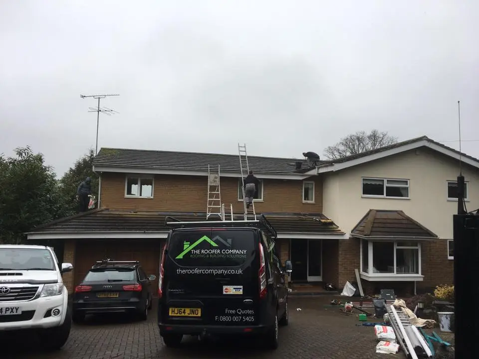 16298454_1230811683677809_6278230230556279057_n