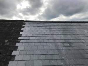 22310333_1476573029101672_4165244519555656329_n-300x480