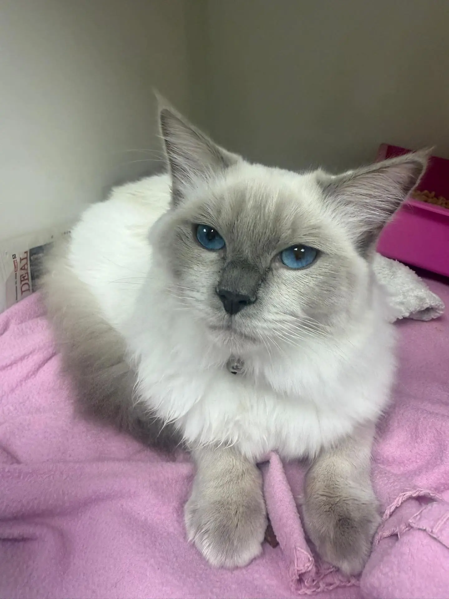 imgi_9_563443696_18158135206380256_6602890855221834620_n