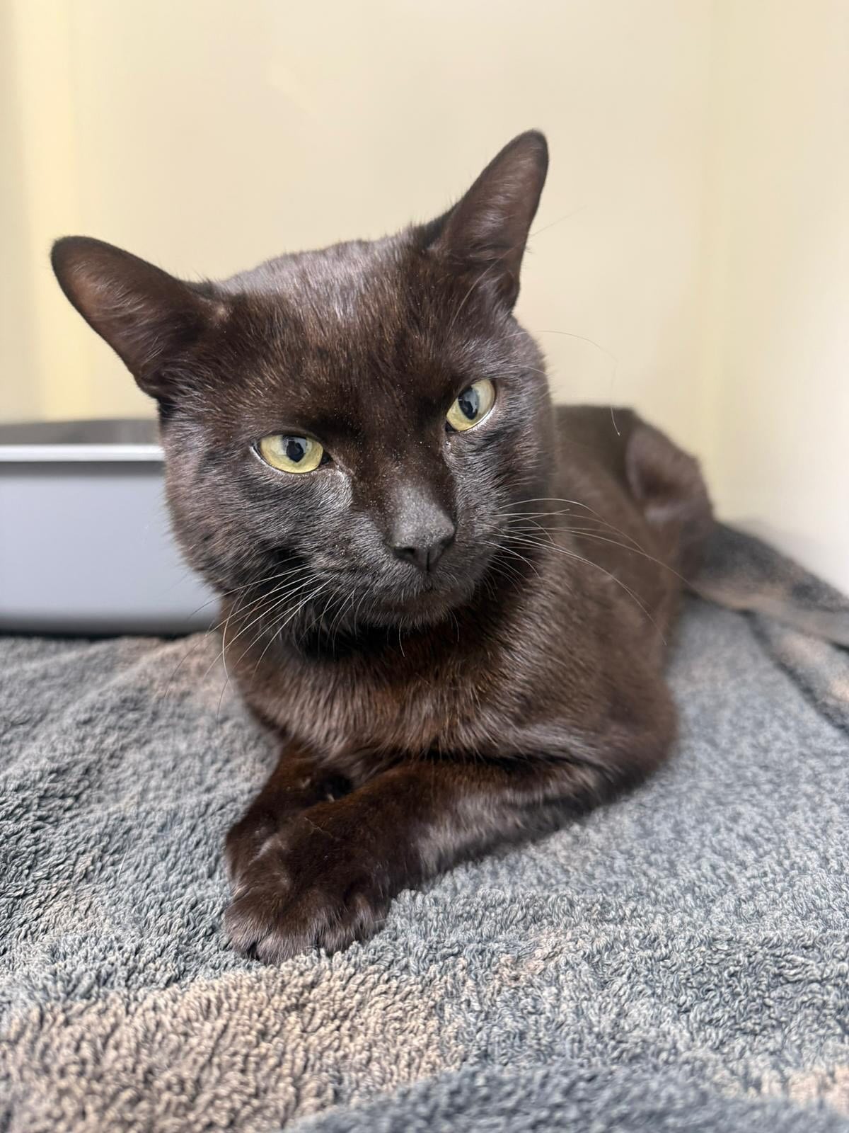 imgi_12_537241681_18152517361380256_8284733880207182240_n